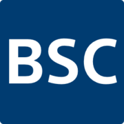 BSX